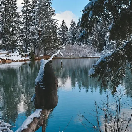 Family Friendly Krasevec - Happy * Velike Bloke