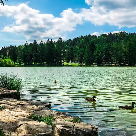 Family Friendly Krasevec - Happy Velike Bloke