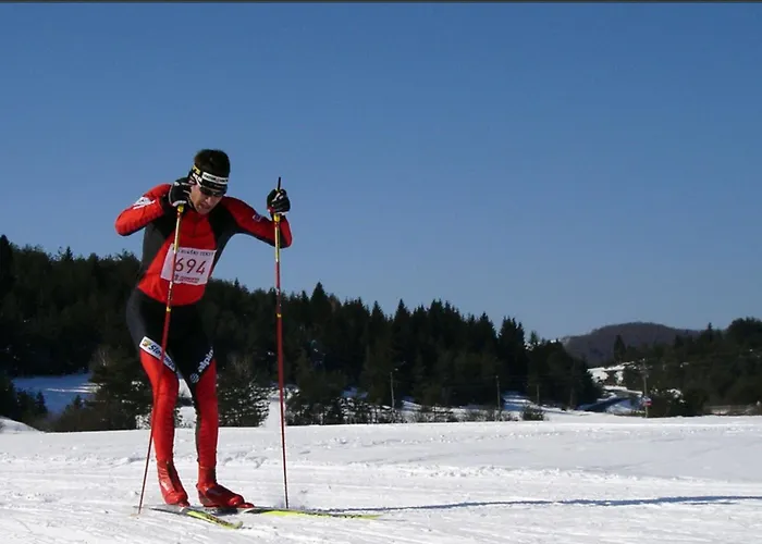 Alpehytte Family Friendly Krasevec - Happy