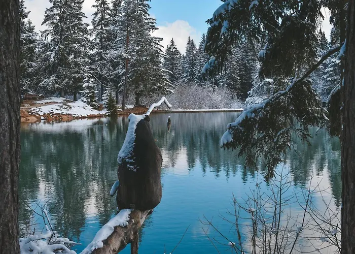 Family Friendly Krasevec - Happy * Velike Bloke