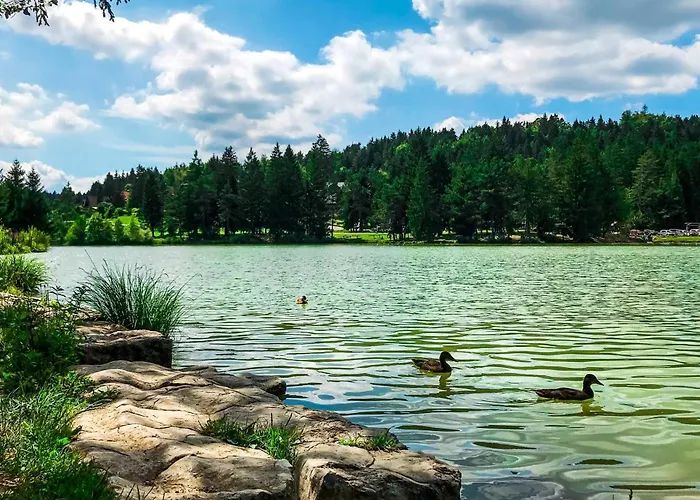 Family Friendly Krasevec - Happy Velike Bloke